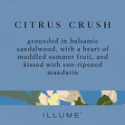 Citrus Crush Candle