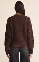 Long Sleeve Brown Zippered Crochet Jacket