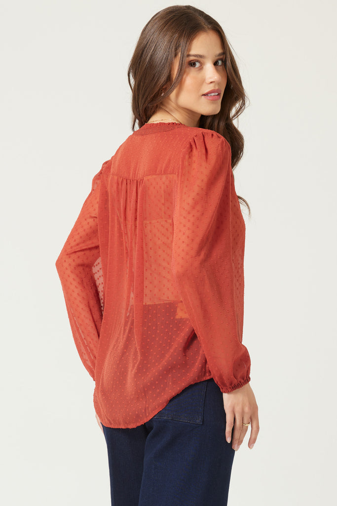 Red Sheer Long Sleeve Top Apex Ethical Boutique