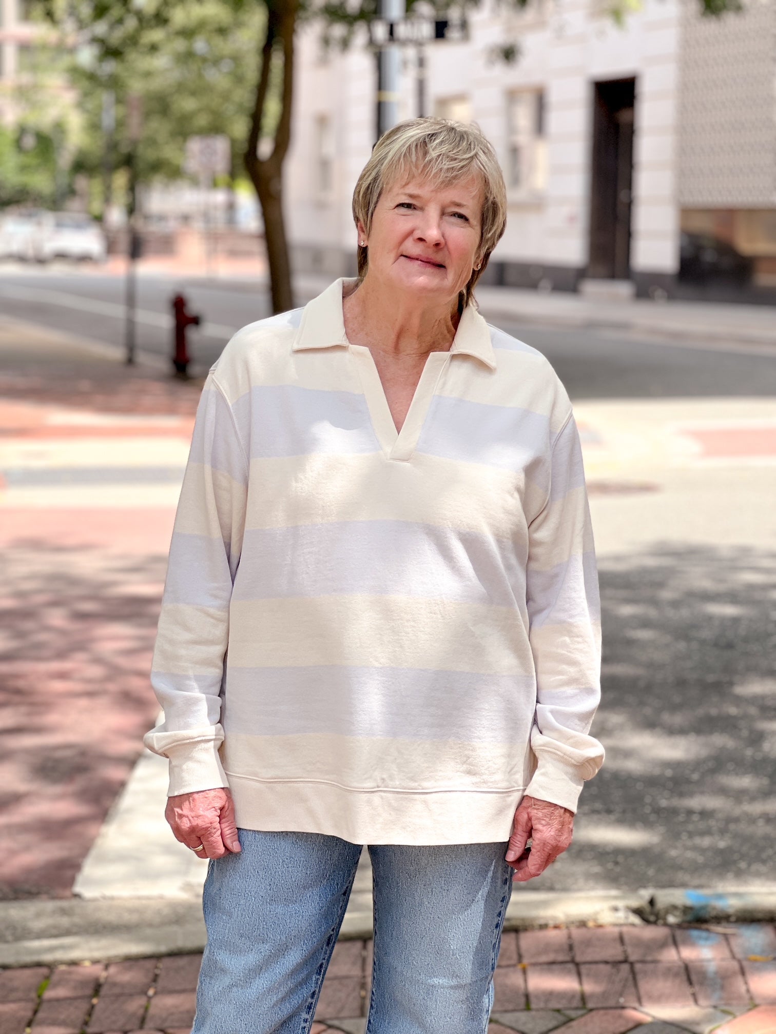 sweatshirt with light lavender stripes and v neckline
